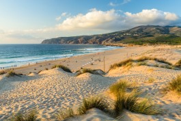 TRAVELLING FILMS