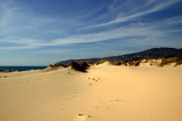 TRAVELLING FILMS