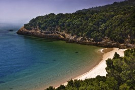 TRAVELLING FILMS