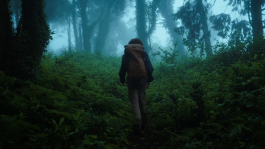 TRAVELLING FILMS